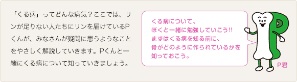 「くる病」ってどんな病気?ここでは、リンが足りない人たちにリンを届けているPくんが、みなさんが疑問に思うようなことをやさしく解説していきます。Pくんと一緒にくる病について知っていきましょう。くる病について、ぼくと一緒に勉強していこう!!まずはくる病を知る前に、骨がどのように作られているかを知っておこう。