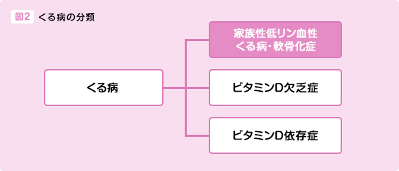 図2 くる病の分類 くる病 家族性低リン血性くる病・軟骨化症 ビタミンD欠乏症 ビタミンD依存症